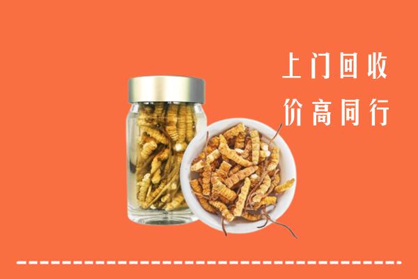 雷州市回收冬虫夏草